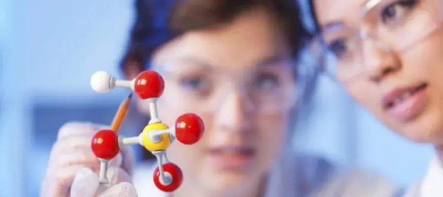 Two students look at molecular model in foreground