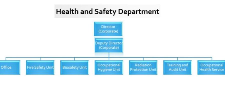 Health and safety department flow chart